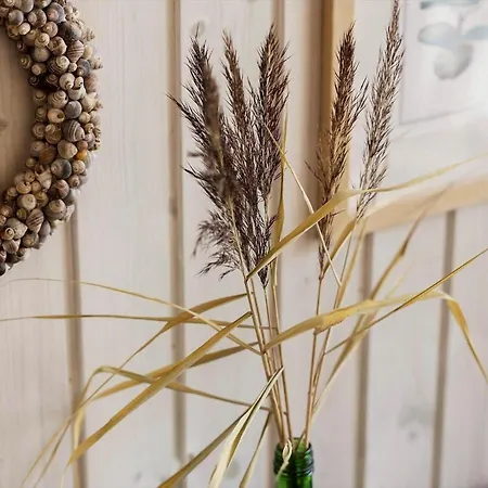 40579-juelsminde-pot-strandby-235 Sonderby (Midtjylland)